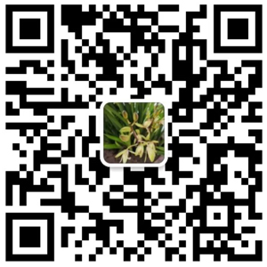 拓維網絡微信服務號